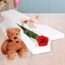 Valentine's Day Passion with Teddy Flowers